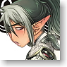 Queens Blade Echidna Cushion Cover (Anime Toy)