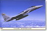 F-15A イーグル `エアー ナショナル ガード` (プラモデル)