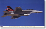 F/A-18F スーパーホーネット `VFA-154 ブラックナイツ CAG` (プラモデル)