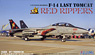 F-14 Last Tomcat Red Rippers (Plastic model)