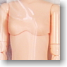 25cm Female Body Bust S (Natural) (Fashion Doll)
