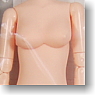 25cm Female Body Bust M (Natural) (Fashion Doll)