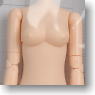 25cm Female Body Bust M (Whity) (Fashion Doll)