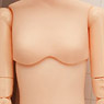 25cm Female Body Bust S w/Magnet (Natural) (Fashion Doll)