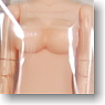 25cm Female Body Bust L w/Magnet (Natural) (Fashion Doll)