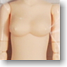 25cm Female Body Bust M w/Magnet (Whity) (Fashion Doll)