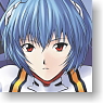Character Sleeve Collection Evangelion Ayanami Foster Project DS with Asuka Complement Project [Ayanami Rei] (Card Sleeve)