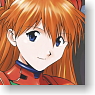 Character Sleeve Collection Evangelion Ayanami Foster Project DS with Asuka Complement Project [Soryu Asuka Langley] (Card Sleeve)