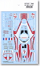 908LMS 2008 Spare Decal (Model Car)