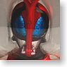 S.H.Figuarts Kamen Rider Kabuto (Completed)