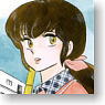 Maison Ikkoku (Anime Toy)