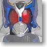 S.H.Figuarts Kamen Rider Gatack (Completed)