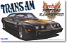 Trans Am Firebird (Model Car)