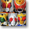 Motion Revive Series Kamen Rider Vol.6 8 pieces (Completed)