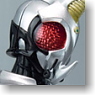 S.H.Figuarts Kamen Rider Hercus (Completed)