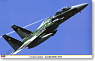 F-15DJ イーグル `アグレッサー2008` (プラモデル)