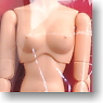 27cm Female Body Normal w/Magnet (Natural) (Fashion Doll)