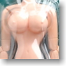 27cm Female Body Soft Bust L w/Magnet (Natural) (Fashion Doll)