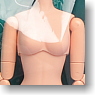27cm Female Body SBH-S w/Magnet (Natural) (Fashion Doll)