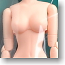27cm Female Body SBH-M w/Magnet (Natural) (Fashion Doll)