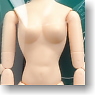 27cm Female Body Soft Bust M w/Magnet (Whity) (Fashion Doll)