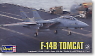 F-14B Tomcat (Plastic model)