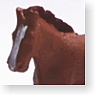 馬セット 1 (鉄道模型)