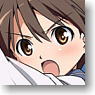 Character Binder Collection Project Revolution [Strike Witches] (Card Supplies)
