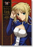 Fate/stay night Saber Photograph Collection (Art Book)
