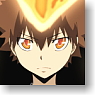 Reborn! Tsuna Battle Clear File (Anime Toy)