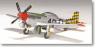 P-51D マスタング MARY MAC (完成品飛行機)