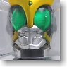 S.H.Figuarts Kamen Rider Kuuga Pegasus Form (Completed)