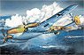 German Bf 110D-1/R-1 `Dackelbauch` (Plastic model)