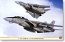 F-14A トムキャット “VF-211 チェックメイツ” (プラモデル)
