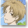 Natsume Yujincho Trading Card Yo (Trading Cards)