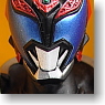 Rider Hero Series 02 Garuru Form (Character Toy)
