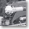 GS-4 Southem Pacific No.4431 (Black/Silver/Graphite) (Model Train)
