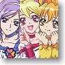 Fresh Pretty Cure! Pretty Cure Card Game Set (Trading Cards)