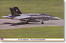 F/A-18C ホーネット `VFA-105 ガンスリンガーズ` (プラモデル)