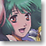 Macross Frontier Nyan-Call Super-Time-Space Card Collection (Trading Cards)