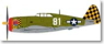 P-47Dレザーバック　319th FS 325th FG　ホワイト81 ダラスブロンド (完成品飛行機)