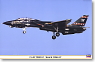 F-14D トムキャット `ブラック トムキャット` (プラモデル)