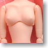 23cm Female Body SBH-L w/Magnet (Natural) (Fashion Doll)