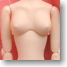 23cm Female Body SBH-L w/Magnet (Whity) (Fashion Doll)