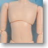 21cm Male Body (Whity) (Fashion Doll)