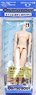 21cm Male Body w/Magnet (Whity) (Fashion Doll)