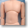 23cm Male Body (Natural) (Fashion Doll)