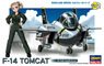 F-14 Tom Cat (Plastic model)