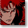 Devil Kings Sanada Yukimura Pass Case (Anime Toy)