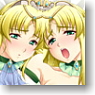 [エルフの双子姫 ウィランとアルスラ] アルスラ 抱き枕カバー (キャラクターグッズ)